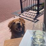 Mountain Poppy Boutique & Gift (plus Wine Bar!)