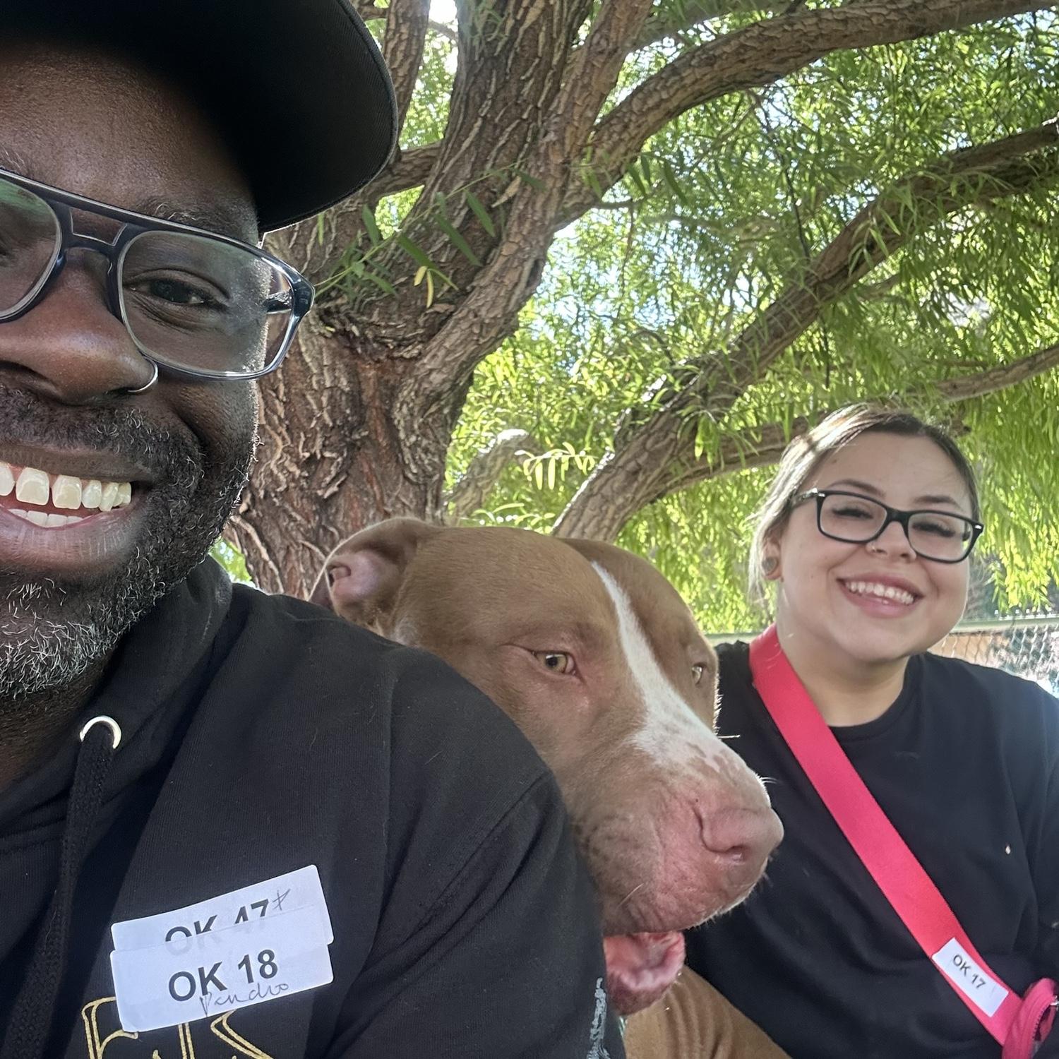 Volunteering at the shelter