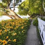 Geneva Lake Shore Path