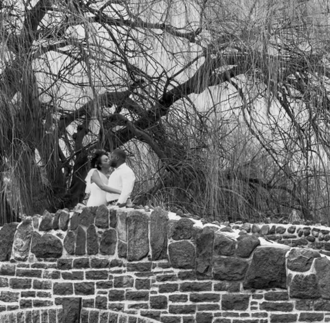 94235c8c-6fab-44e7-8a81-76e1856a7adf