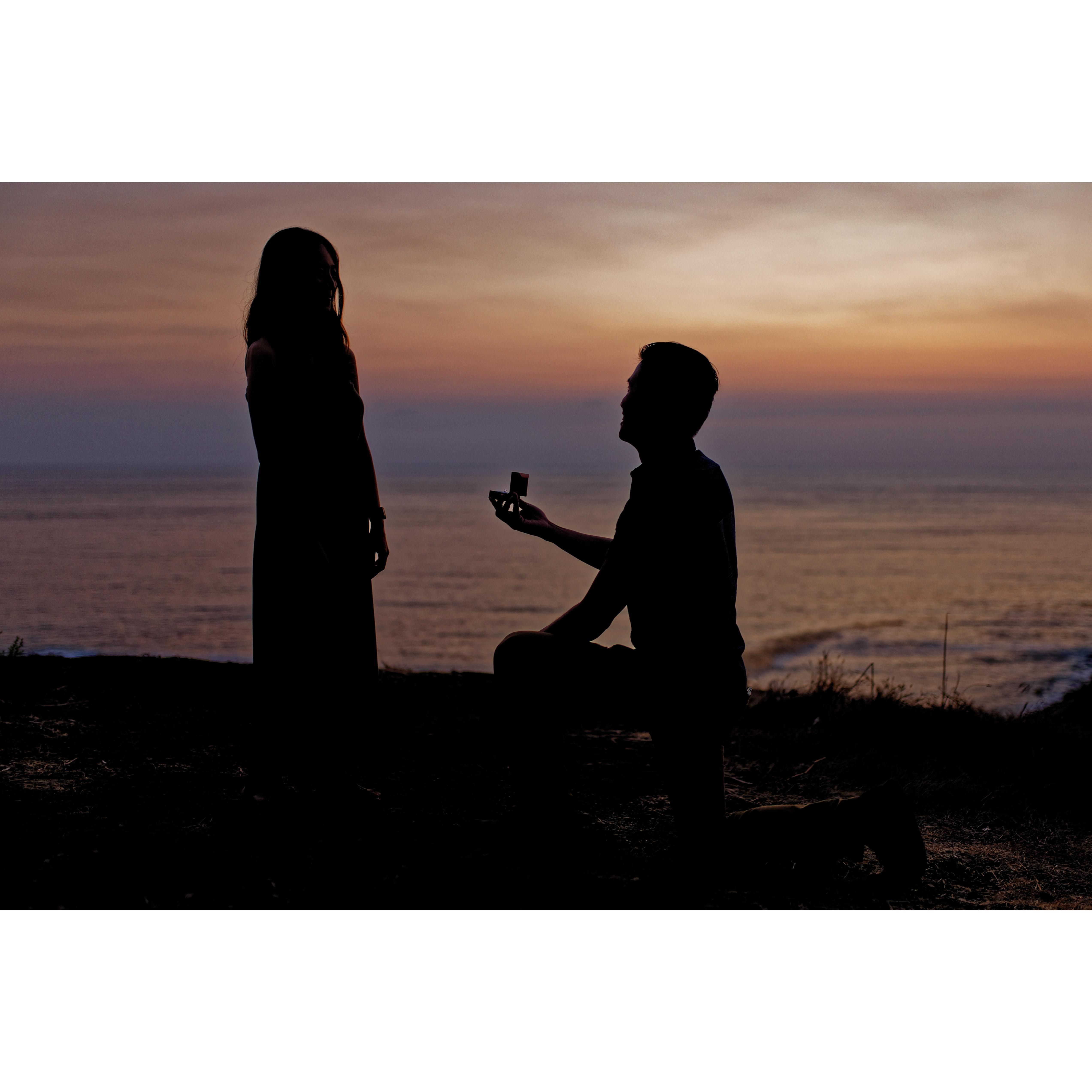 She was in the dark about the proposal until about now.