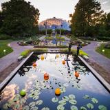 Missouri Botanical Garden