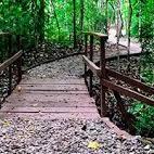 Metropolitan Natural Park