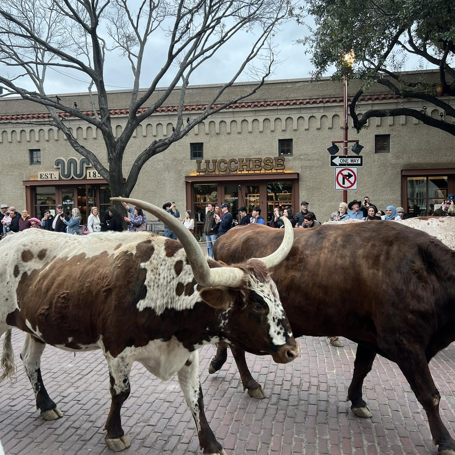 Fort Worth Stockyards