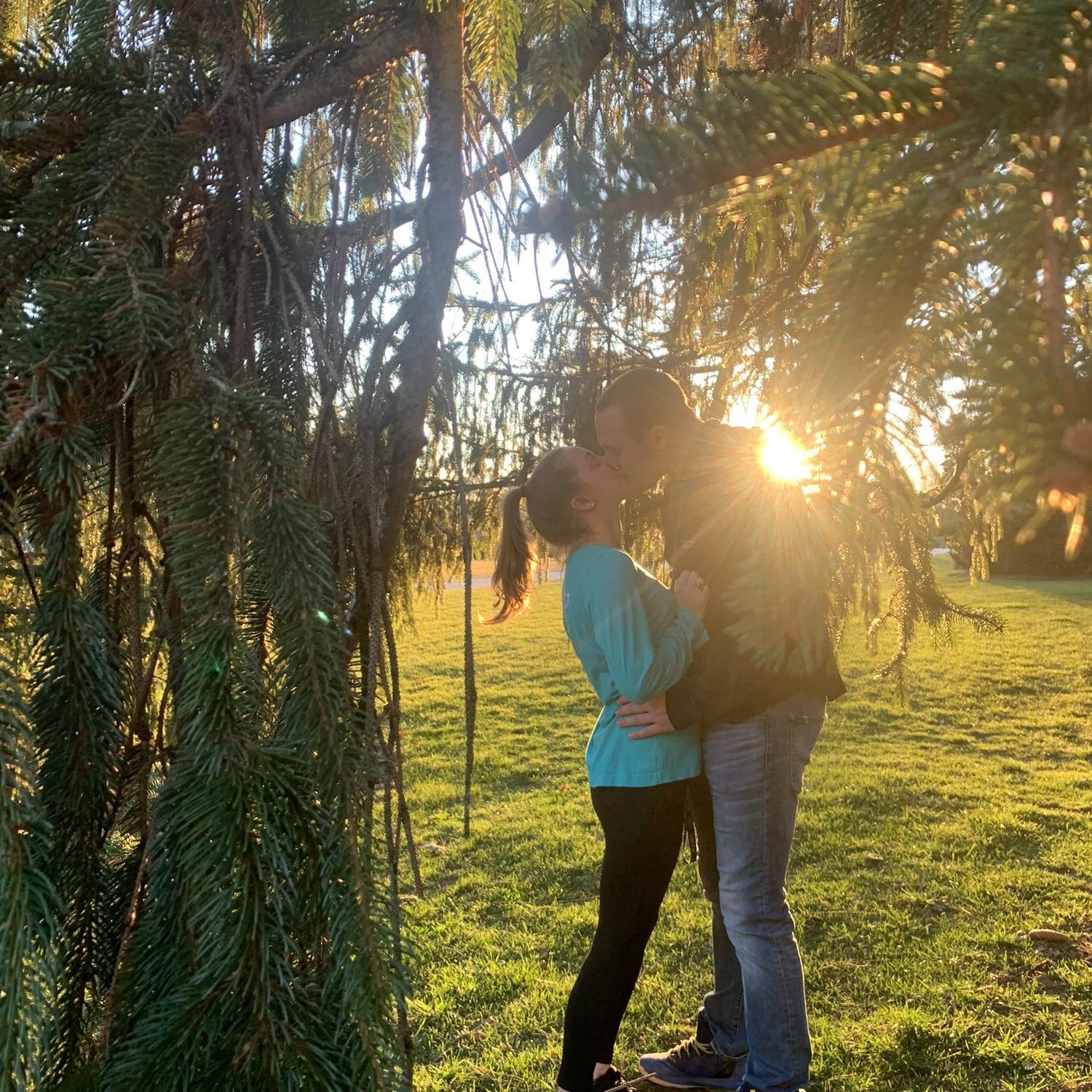 Sunsets at Longwood Gardens