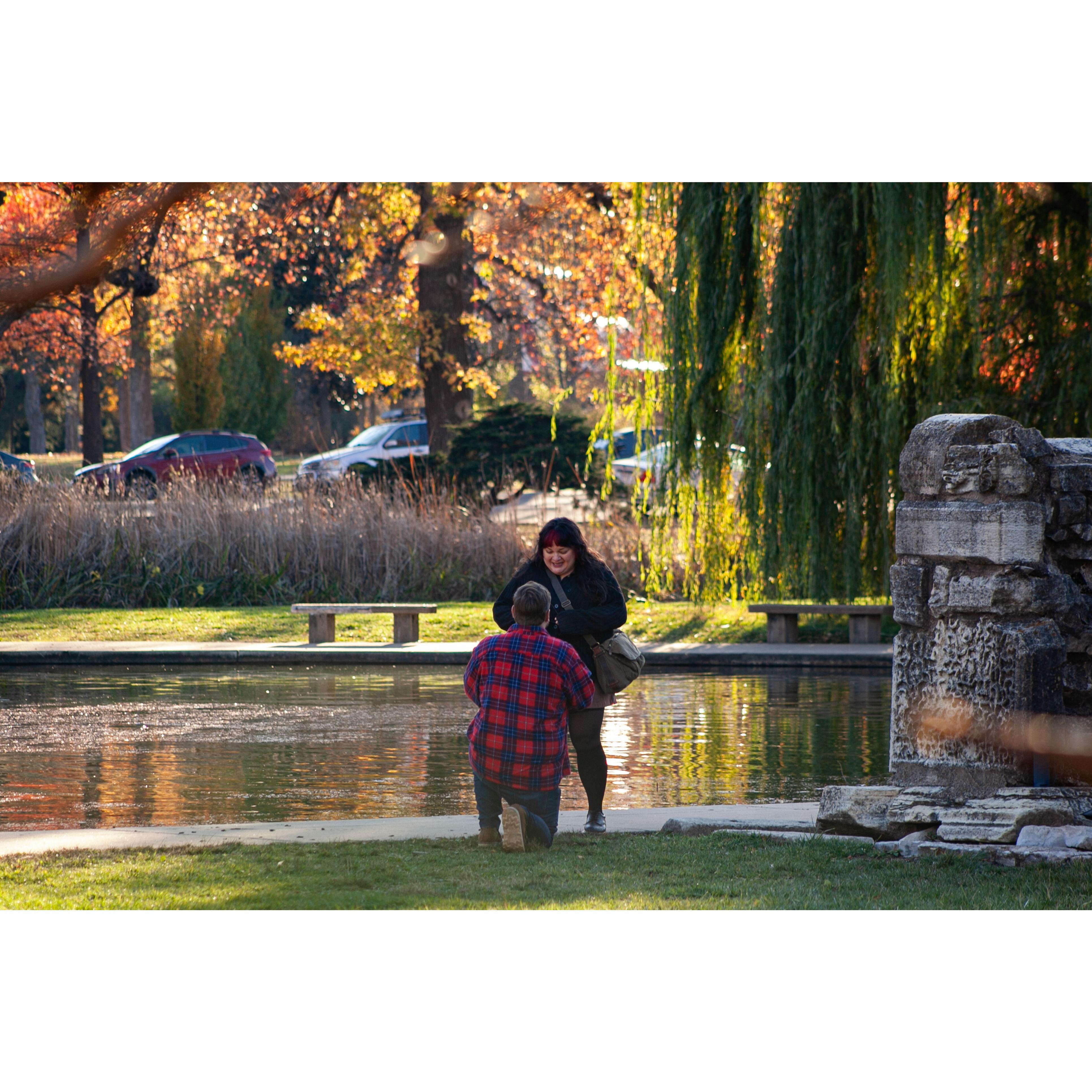 John proposed on November 23rd, 2024 at Tower Grove Park