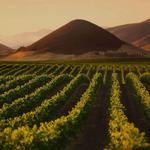 SLO Wine Country