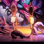 Evening Shows