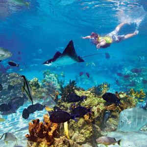 Honeymoon - Snorkeling in Cahuita National Park