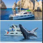 Whale Watching