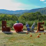 Peaks of Otter Winery