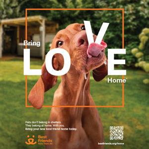 Donation to Best Friends Animal Sanctuary