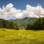 Cades Cove