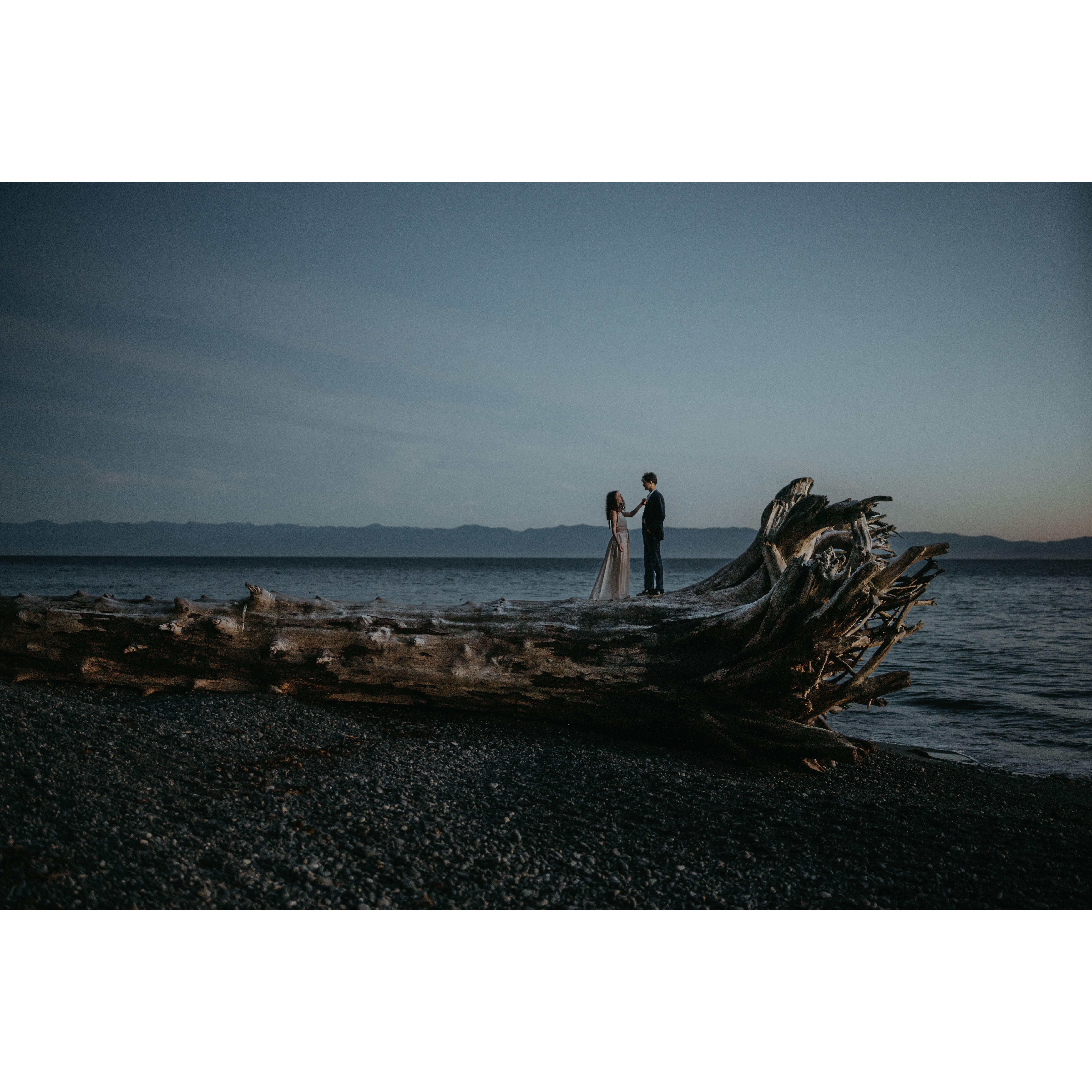 A signature of our relationship is climbing on trees all over the west coast, so this was a fitting spot for our engagement shoot.