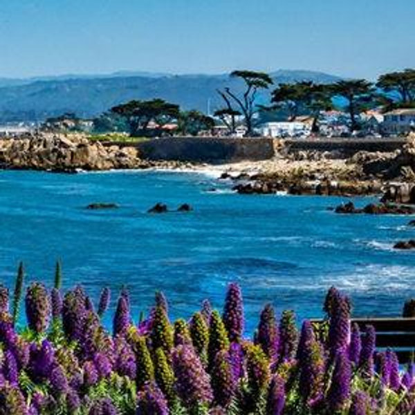 Our honeymoon in Monterey Bay