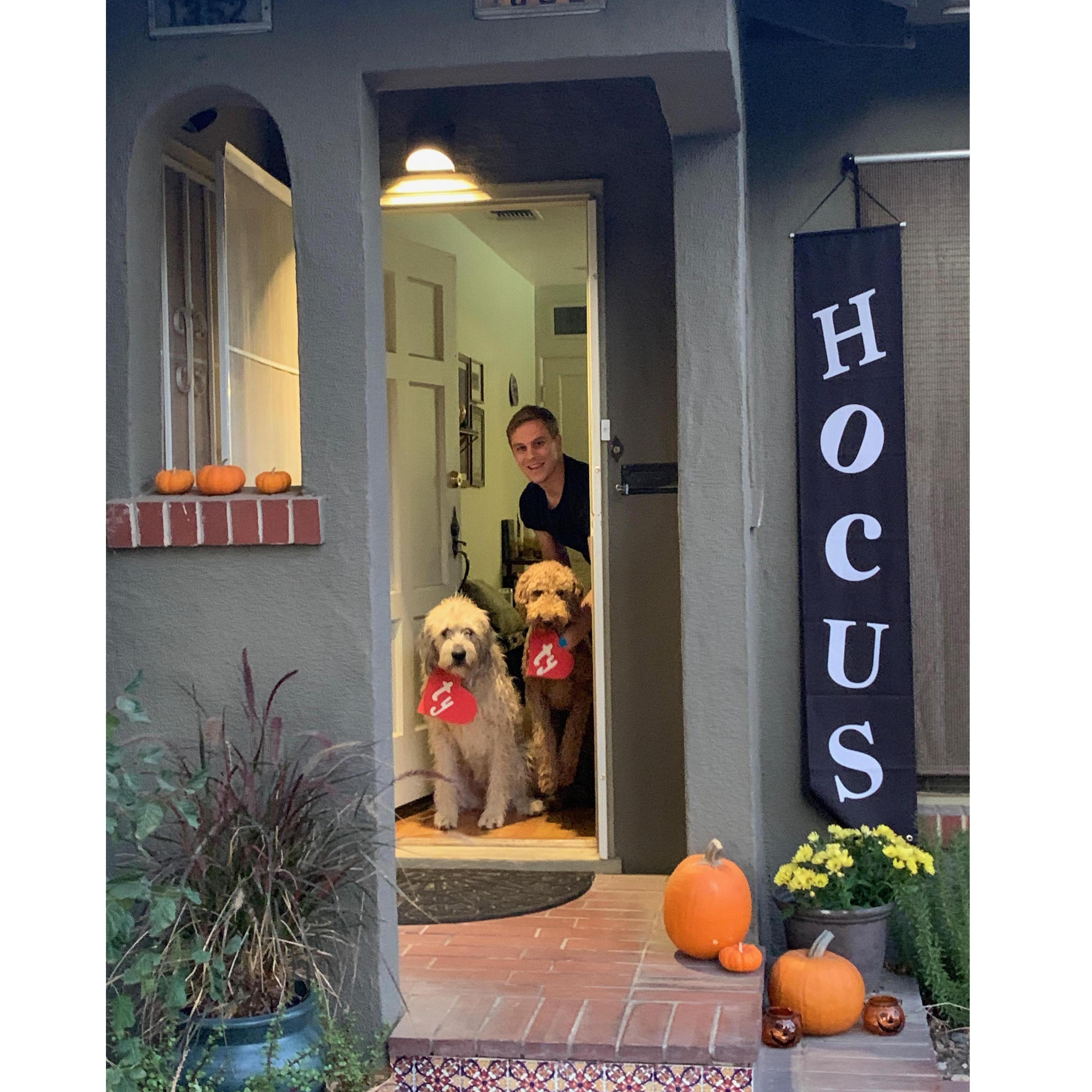 Halloween 2019 (our favorite holiday) and both fur babies.