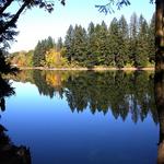 Lacamas Lake