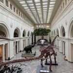 Field Museum