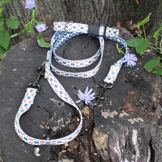 Classic Adventure Dog Collar