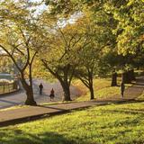 Druid Hill Park