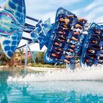 SeaWorld Orlando
