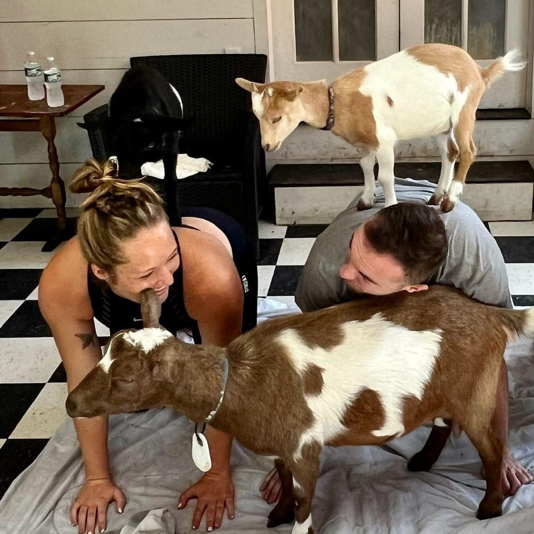 Goat Yoga!
