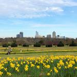 Dorothea Dix Park