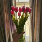 Crescent City Farmers Market - City Park