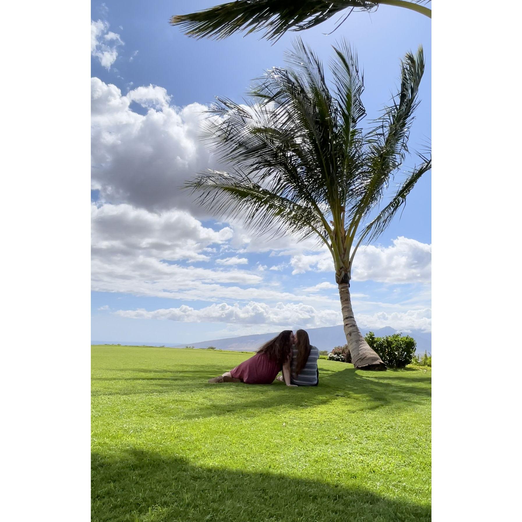 At Ocean Vodka Distillery in Kula, Hawaii