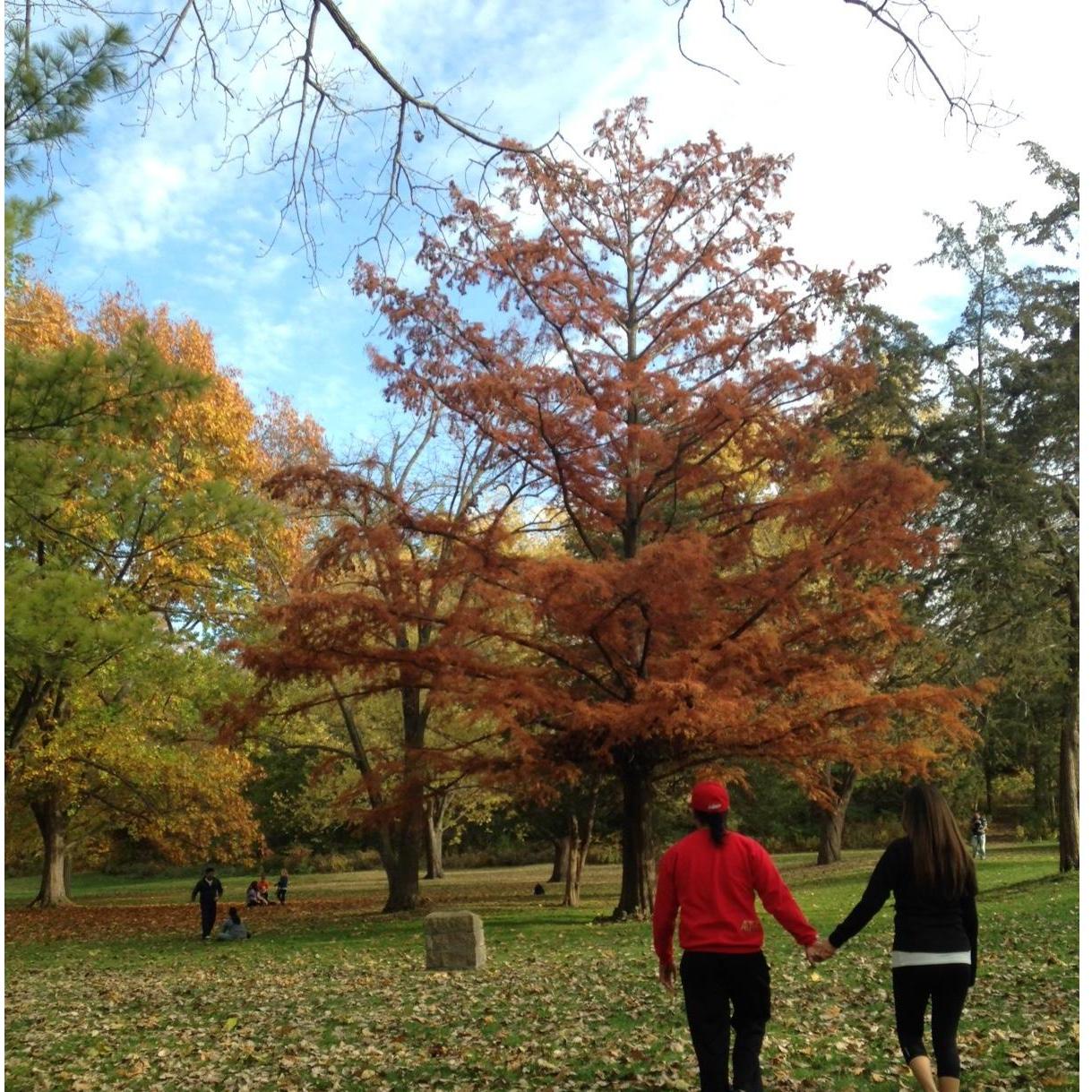 Our first experience of "fall colors" together in Chicago Illinois.