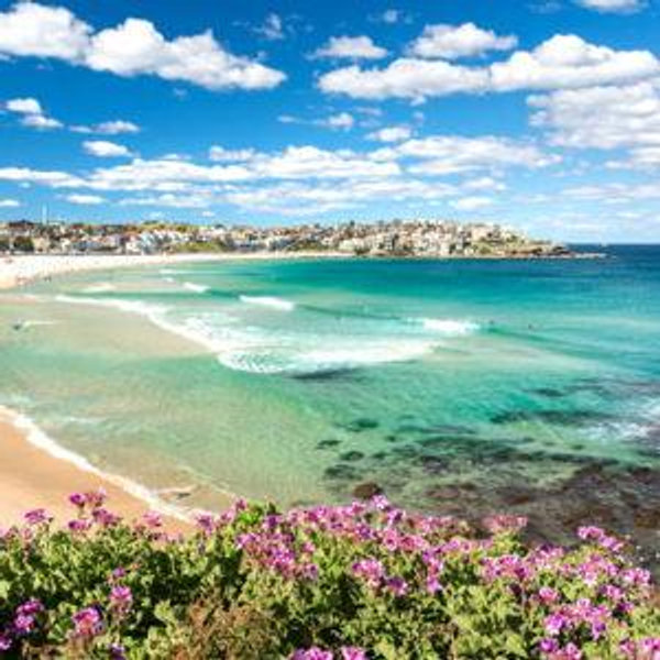 Bondi Beach day