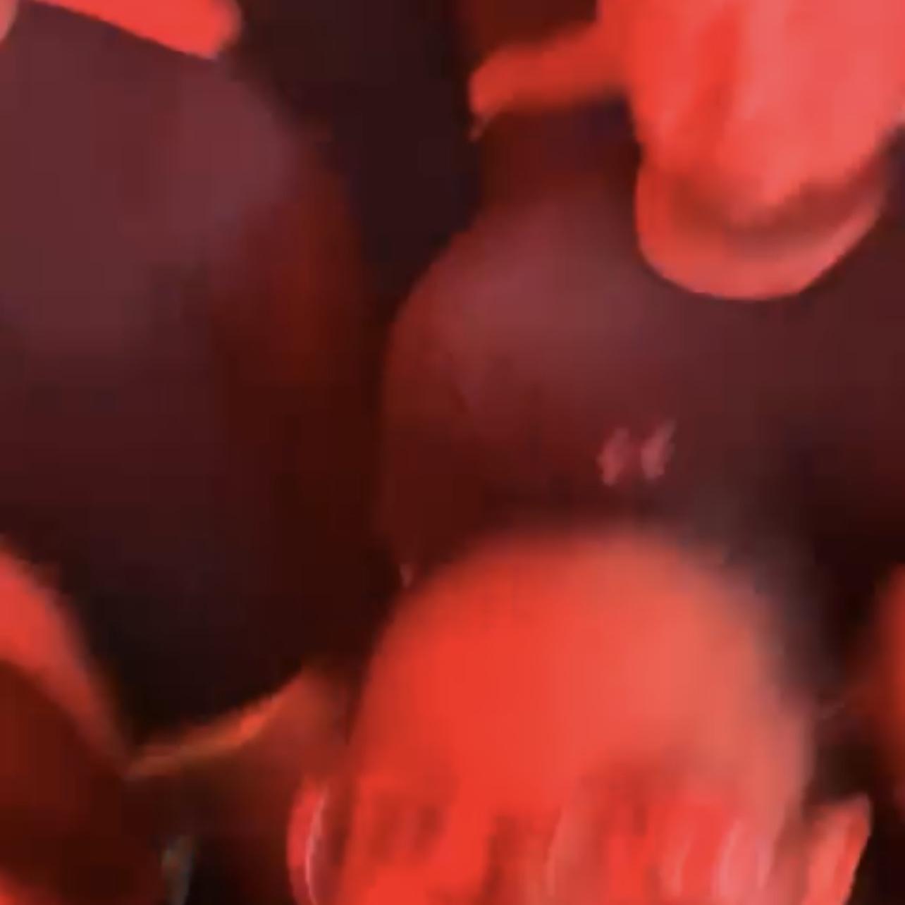 October 2019 (actual footage from the night we met)