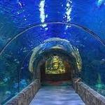 Audubon Aquarium