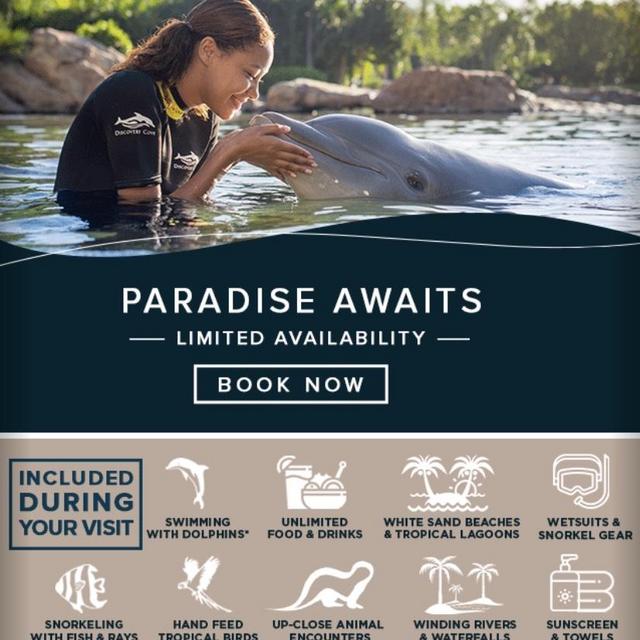 Honeymoon Fun - Discovery Cove
