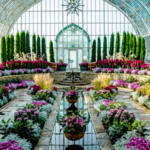 Como Park Zoo & Conservatory