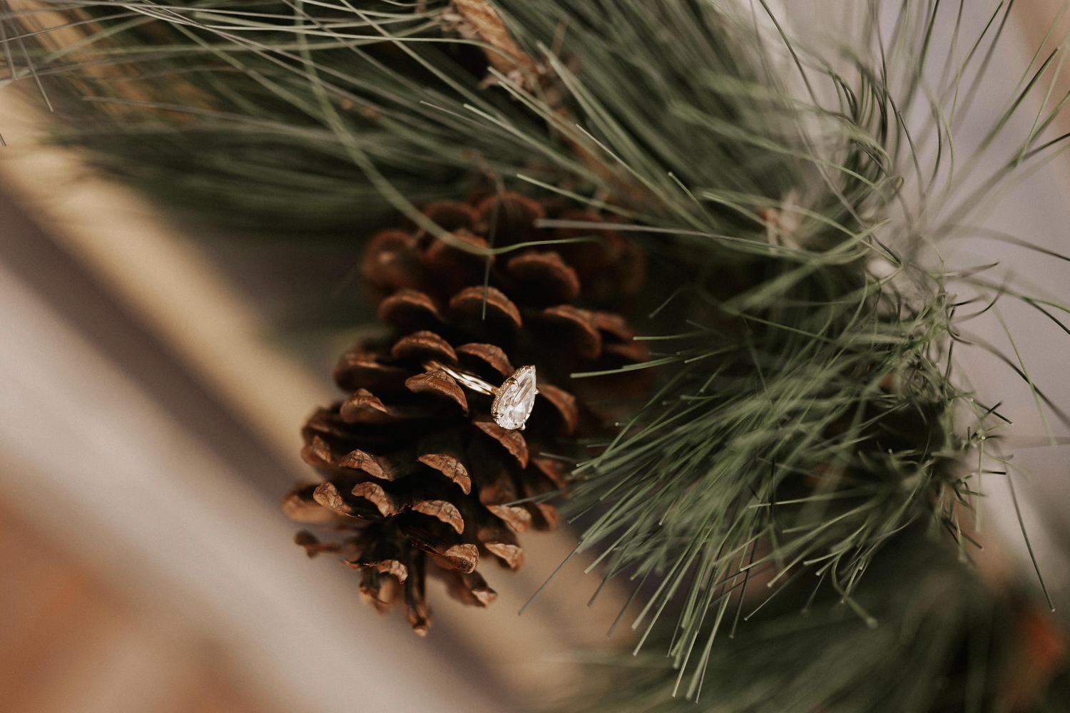 The Wedding Website of Ashley Grisafe and Benjamin Grisafe