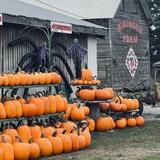 Biringer's Black Crow Maze