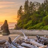 Olympic National Park