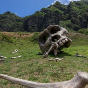 Kualoa UTV Ranch Tour (Oahu)