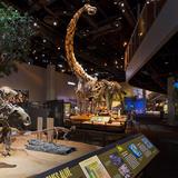 Perot Museum of Nature and Science