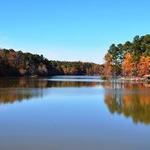 William B. Umstead State Park - Reedy Creek