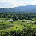 Wineries and Breweries