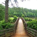 William B. Umstead State Park
