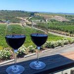 Wine Appreciation Class at Falkner Winery