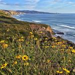 Torrey Pines State Natural Reserve