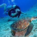 Book an Activity with Cabo Adventures