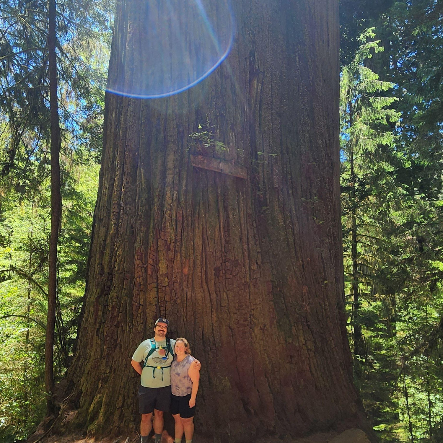 Long time bucket list trip of going to see the Redwoods!