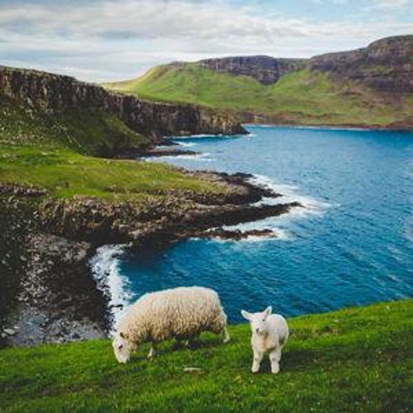 Scotland Honeymoon