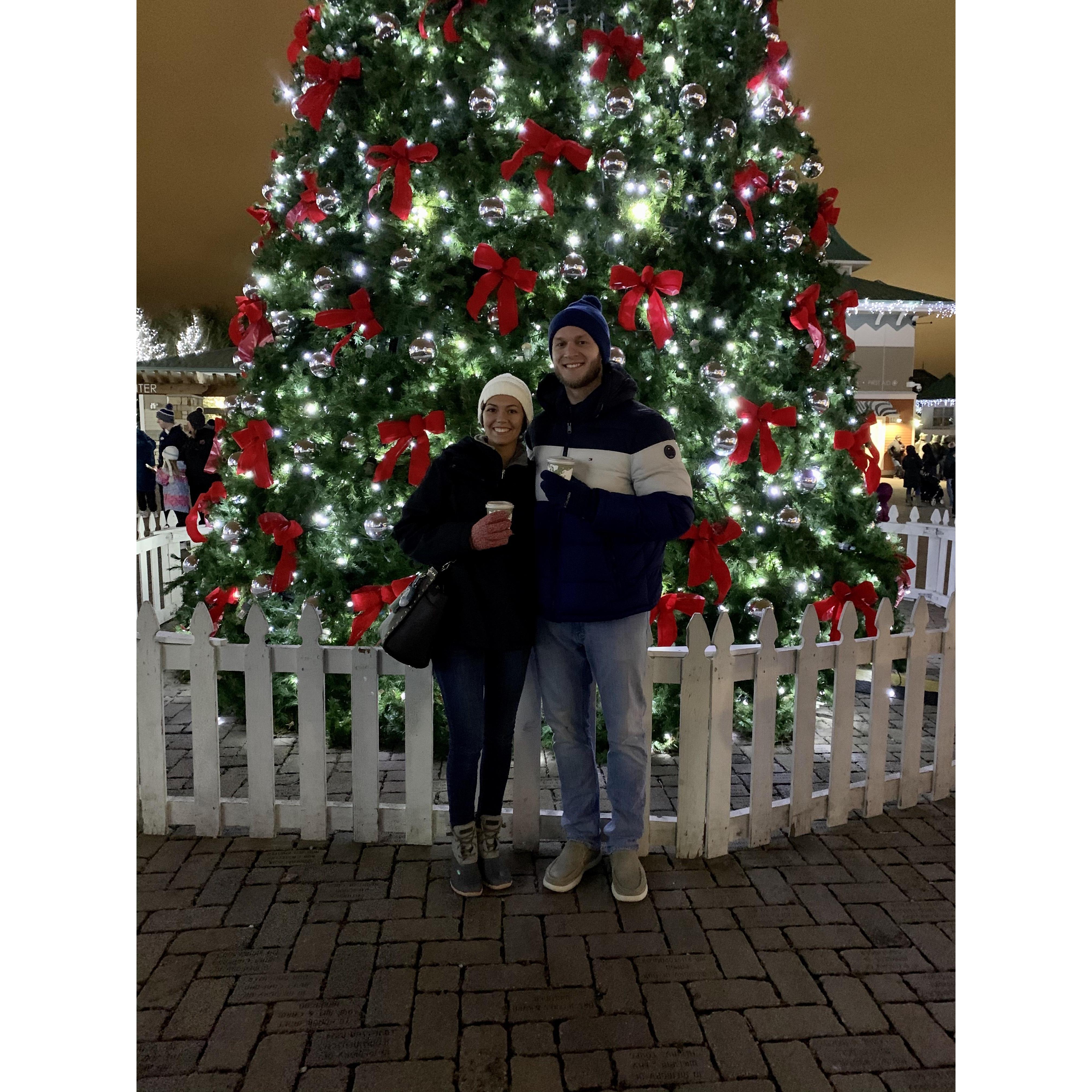 visited the Cincinnati Zoo's Festival of Lights