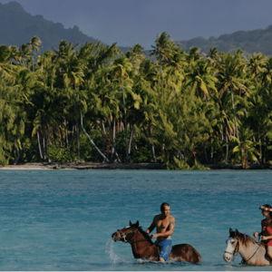 Horseback Riding Tour